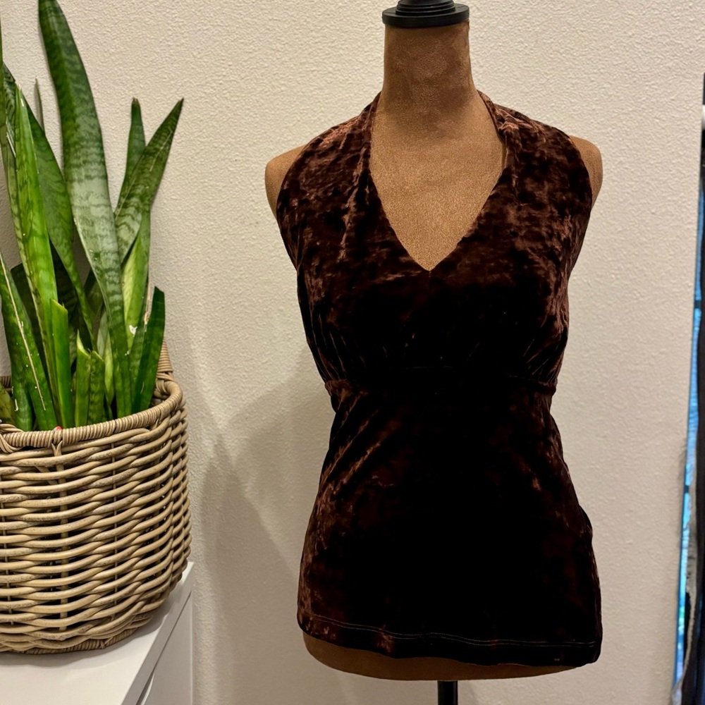 Deep Brown Velvet Women's Top